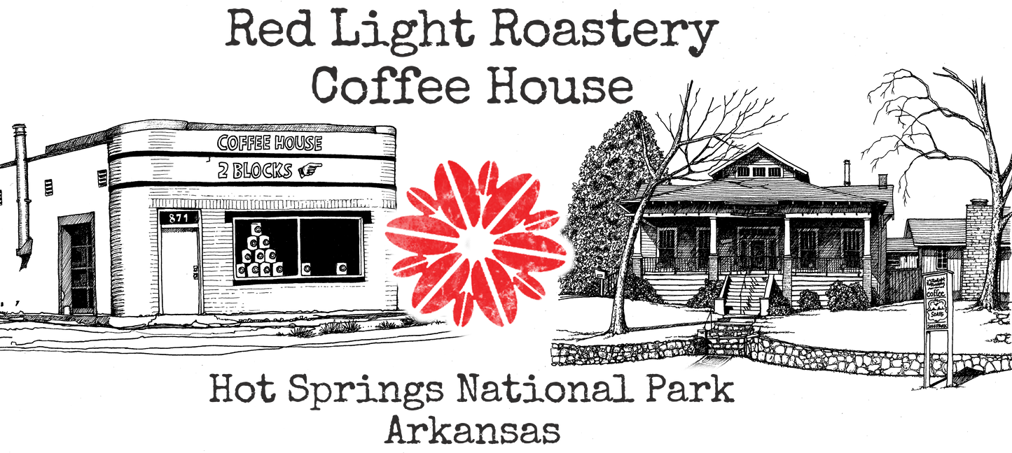 5.21.25 Light and Love Art Class at Red Light Roastery: The Funness of Fungi