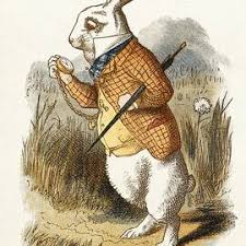 5/20/25  6-8pm Down the Rabbit Hole: A Light and Love Community Art Exploration on the Rooftop of the Historic Waters Hotel in Downtown Hot Springs